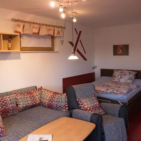 Hundemuede In Dresden Apartment Ngoại thất bức ảnh